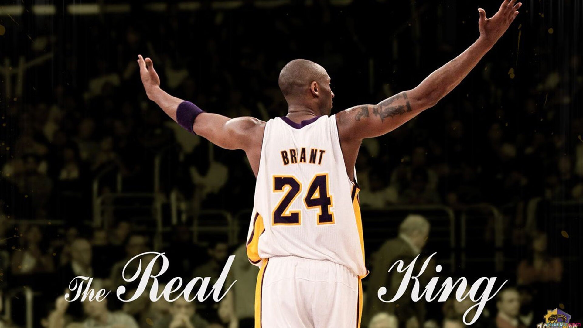 渡边一平决赛稳定发挥赢得掌声，渡边一雄